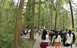 Zhangjiajie has recieved 536,000 Visitors,During National Day Golden Week 