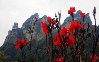 ZJJ Wulingyuan Chestnut Mountain shows Intoxicate Autumn Scenery 