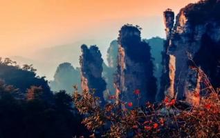 Zhangjiajie Oil Painting Scenery in Autumn tour 