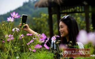 Zhangjiajie Xibu Street Galsang Flower shows Brilliant Smile 