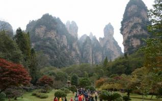 Zhangjiajie Late Autumn Scenery is enchanting 