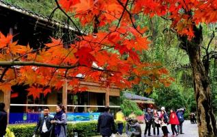 ZJJ Huanglong hole square has Picturesque and Drunken winter scenery 