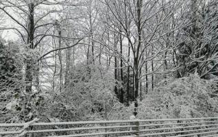 Zhangjiajie Core Scenic Spot welcomes the first winter snow 