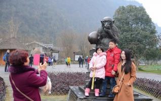 Zhangjiajie scenic spot Lovely “Monkey King” 