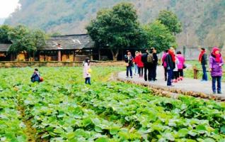 Zhangjiajie Huanglong cave welcomes many local people 