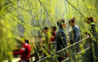 ZJJ Huanglong hole ecological square’s willow welcomes tourists 