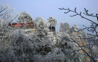 Zhangjiajie scenic spot:A sea of cloudsand rime have co-occurrence in Spring 