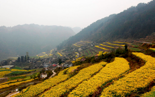 Beautiful Spring Scenery in Western Hunan 