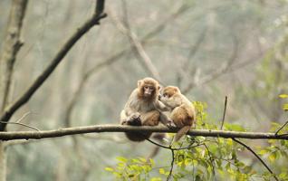 2016 Photo Contest in Zhangjiajie park yellow stone village 