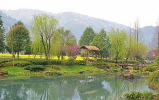 Spring snow and flowers wonder in ZJJ Huanglong cave scenic area 