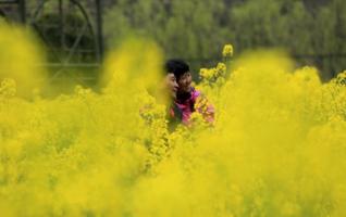 Zhangjiajie Huanglong scenic area has abundant spring scenery 