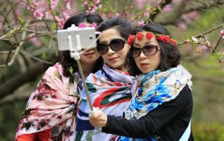 Zhangjiajie core scenic peach blossoms are in full bloom in Spring 