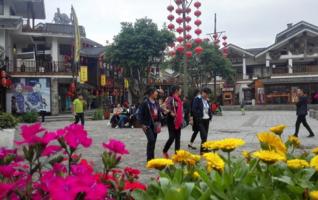 Zhangjiajie Wulingyuan Xibu street shows beautiful flowers 