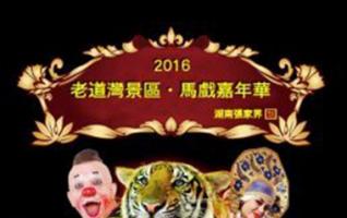 Zhangjiajie Lao Daowan’s circus carnival awaiting for you 