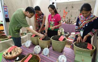 2016 Hunan Tea Cultural Festival Kicks off 