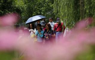 ZJJ Huanglong Hole Ecological Square’s Meadow Sweets open 