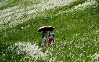 Zhangjiajie Wulingyuan shows “Prairie” in Xiehe township 