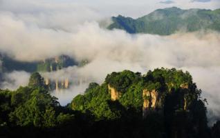 ZJJ Tianzi Mountain scenic area shows a sea of clouds and buddha’s light 