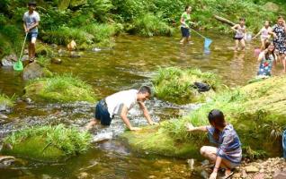 Zhangjiajie Scenic Spot-Golden Whip Stream Becomes a Popular 