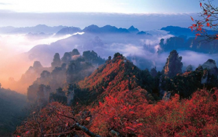 Zhangjiajie Autumn Tourism Golden Season 