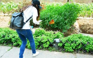 The Mid-Autumn Festival, ZJJ Huanglong Hole is full of Butterflies 