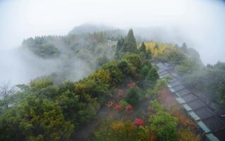 ZJJ Wulingyuan autumn wonderland scenery 