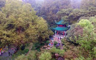 10th Red Maple Festival of Yuelu Mountain Kicks off 