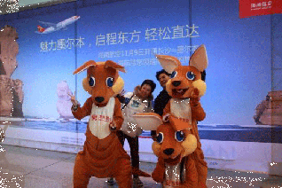 “Kangaroos” Celebrate Changsha-Melbourne Direct Flight Opening 