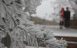 Tianzishan Cableway recovers operations on 24th,Ice and rime are so beautiful 