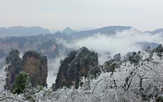 Marvelous Rime Scenery Seen in Zhangjiajie