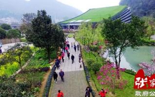 Constant visitors come to Huanglong Hole on Tomb-sweeping Day