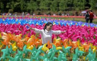 Hunan Forest Botanical Garden Holds Flowers and Pinwheels Festival