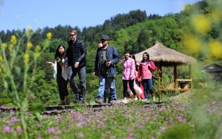 Zhangjiajie:Seed Flowers Open in No.5 Valley Resort