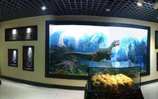 Zhangjiajie World Geological Park Museum Finished Quality Project