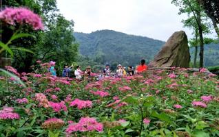 Zhangjiajie Huanglong Hole Colorful Summer Rhyme