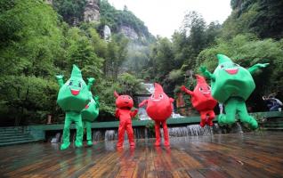 Zhangjiajie cartoon elves propose green life