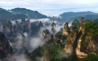 A sea of clouds walks among Zhangjiajie forest park