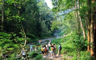 Golden Whip Stream is a good place for summer travel