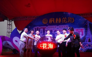 Light Festival Opens in Changde