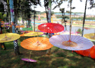 Changsha Oil-paper Umbrella Cultural Tourism Festival Opens