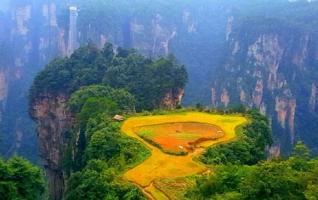 Zhangjiajie held harvest festival in Wulingyuan core scenic spot