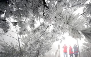 Amazing Winter Scene in Zhangjiajie Tianzishan