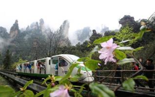 Zhangjiajie spring tour is a beautiful landscape