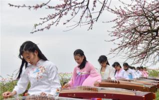 Activities Held to Promote Rural Tourism