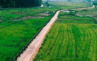 Cycle Paths Built Among Fields in Changsha Qingshanpu