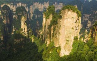 21 Consulates from Hong Kong and Macao visited Zhangjiajie