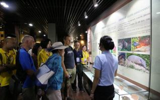 UNESCO experts reassess and comment on Zhangjiajie