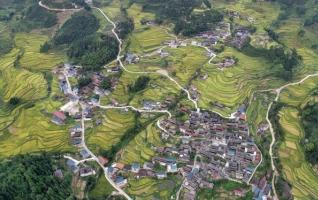 Ariel View of Hongjiang Paddy Fields